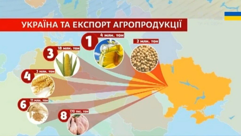 экспорт из украины